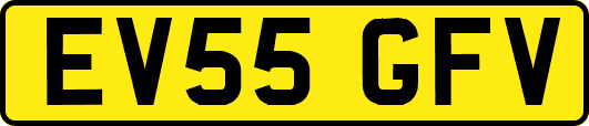 EV55GFV