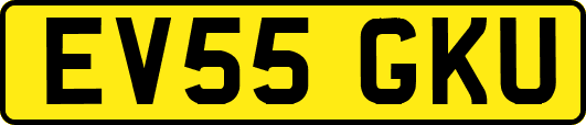 EV55GKU