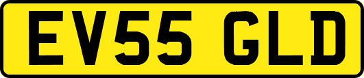 EV55GLD