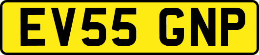 EV55GNP