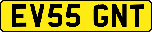 EV55GNT