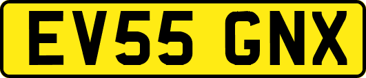 EV55GNX