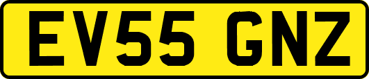 EV55GNZ