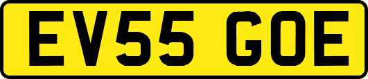 EV55GOE