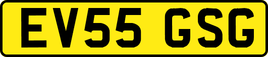 EV55GSG