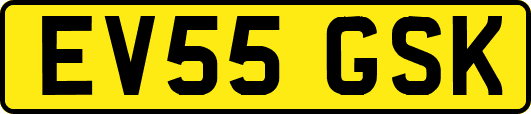 EV55GSK