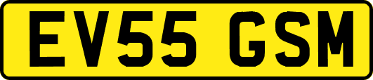 EV55GSM