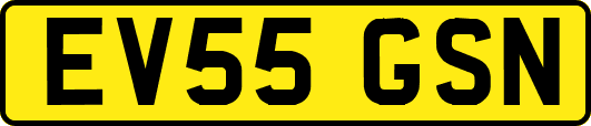 EV55GSN