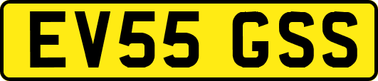 EV55GSS