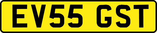 EV55GST