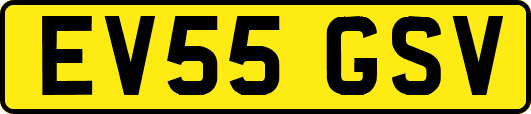 EV55GSV