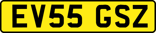 EV55GSZ