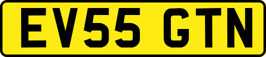EV55GTN