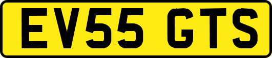 EV55GTS