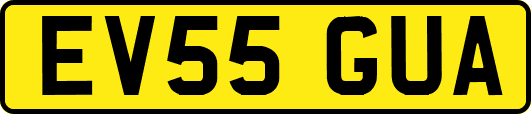 EV55GUA