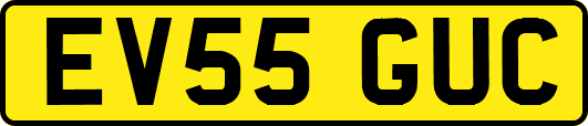 EV55GUC