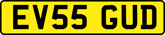 EV55GUD