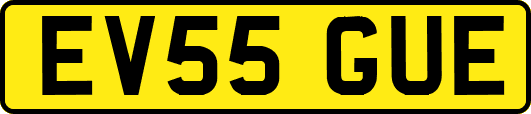 EV55GUE