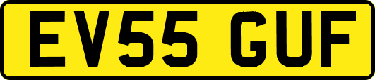 EV55GUF