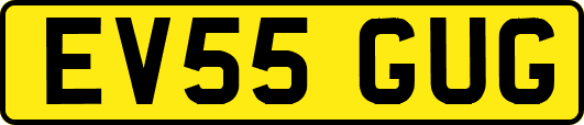 EV55GUG