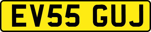EV55GUJ