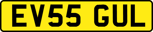 EV55GUL