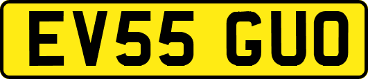EV55GUO