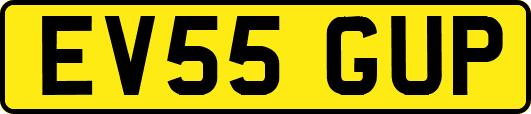 EV55GUP