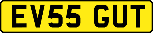 EV55GUT