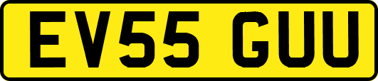 EV55GUU