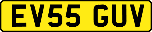 EV55GUV