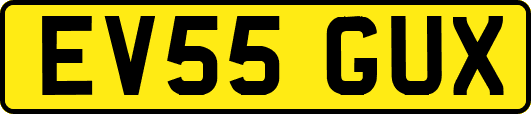 EV55GUX