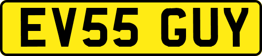 EV55GUY