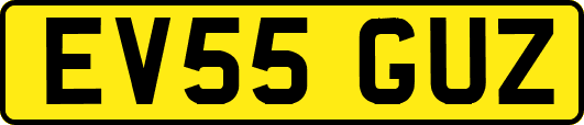 EV55GUZ