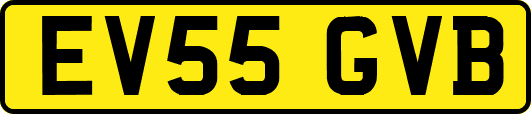 EV55GVB