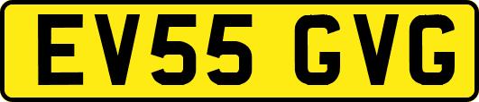 EV55GVG