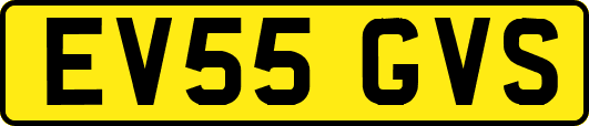 EV55GVS