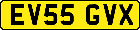 EV55GVX