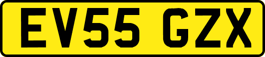 EV55GZX