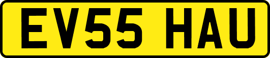 EV55HAU