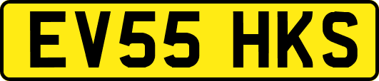 EV55HKS