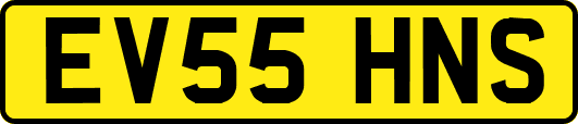 EV55HNS