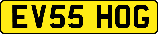 EV55HOG