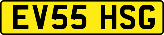EV55HSG