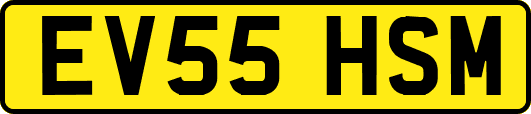 EV55HSM