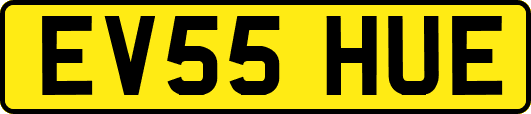EV55HUE