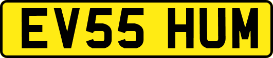 EV55HUM