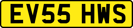 EV55HWS