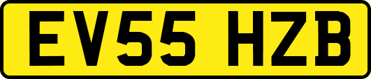 EV55HZB