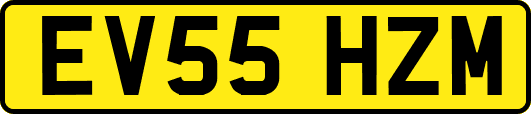 EV55HZM